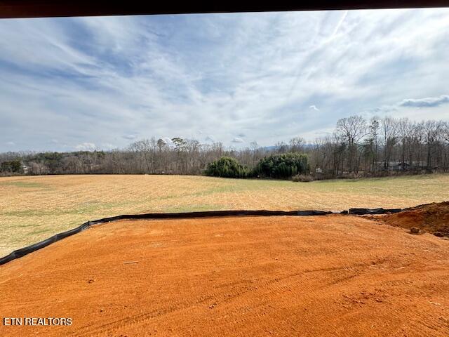 1036 Pathways Drive Seymour, TN 37865 - Photo 10 of 16 IMG_7745