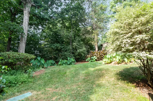 a view of a yard with a tree