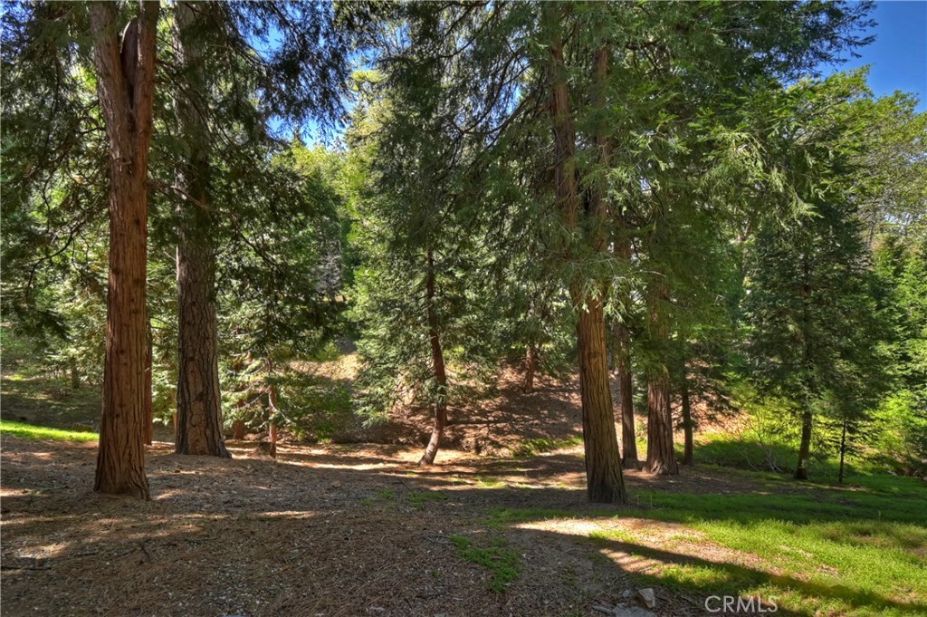 355 Cedar Ridge Drive Lake Arrowhead, CA 92352 - Photo 41 of 64 Lot is fully fenced. Lot is nearly an acre of land.