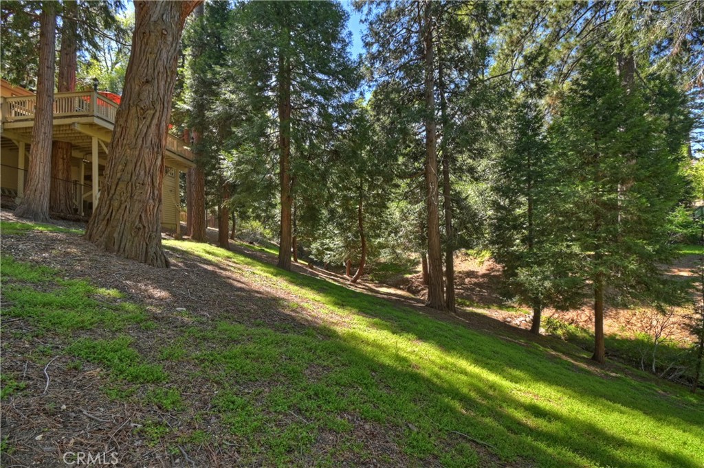 355 Cedar Ridge Drive Lake Arrowhead, CA 92352 - Photo 43 of 64 Let the kids and animals roam...completely fenced lot.