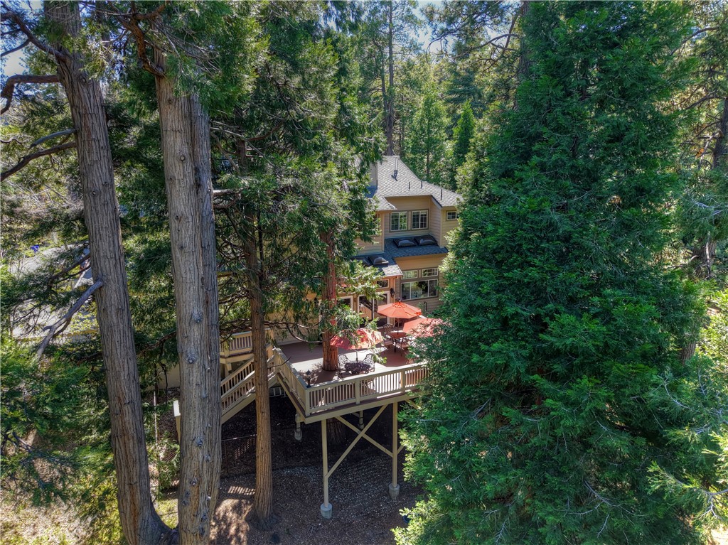 355 Cedar Ridge Drive Lake Arrowhead, CA 92352 - Photo 44 of 64 Sitting under towering pines, cedars and other natural trees.