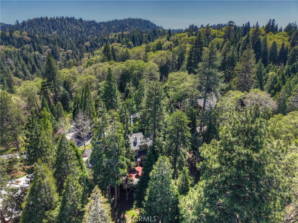 355 Cedar Ridge Drive Lake Arrowhead, CA 92352 - Photo 45 of 64 Just minutes to the lake.