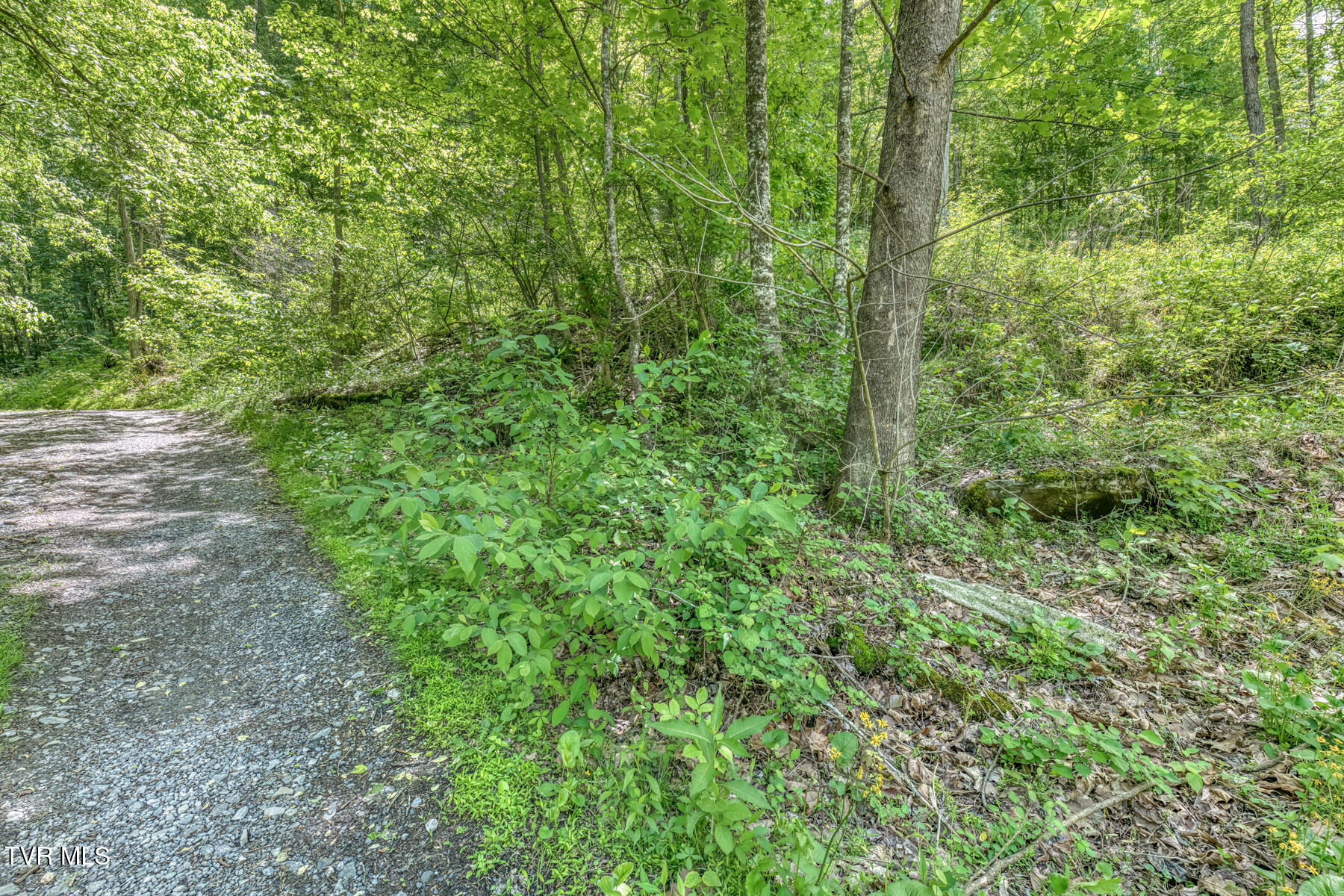 15631 Large Hollow Road Abingdon, VA 24210 - Photo 5 of 16 15631 Large Hollow Rd-8