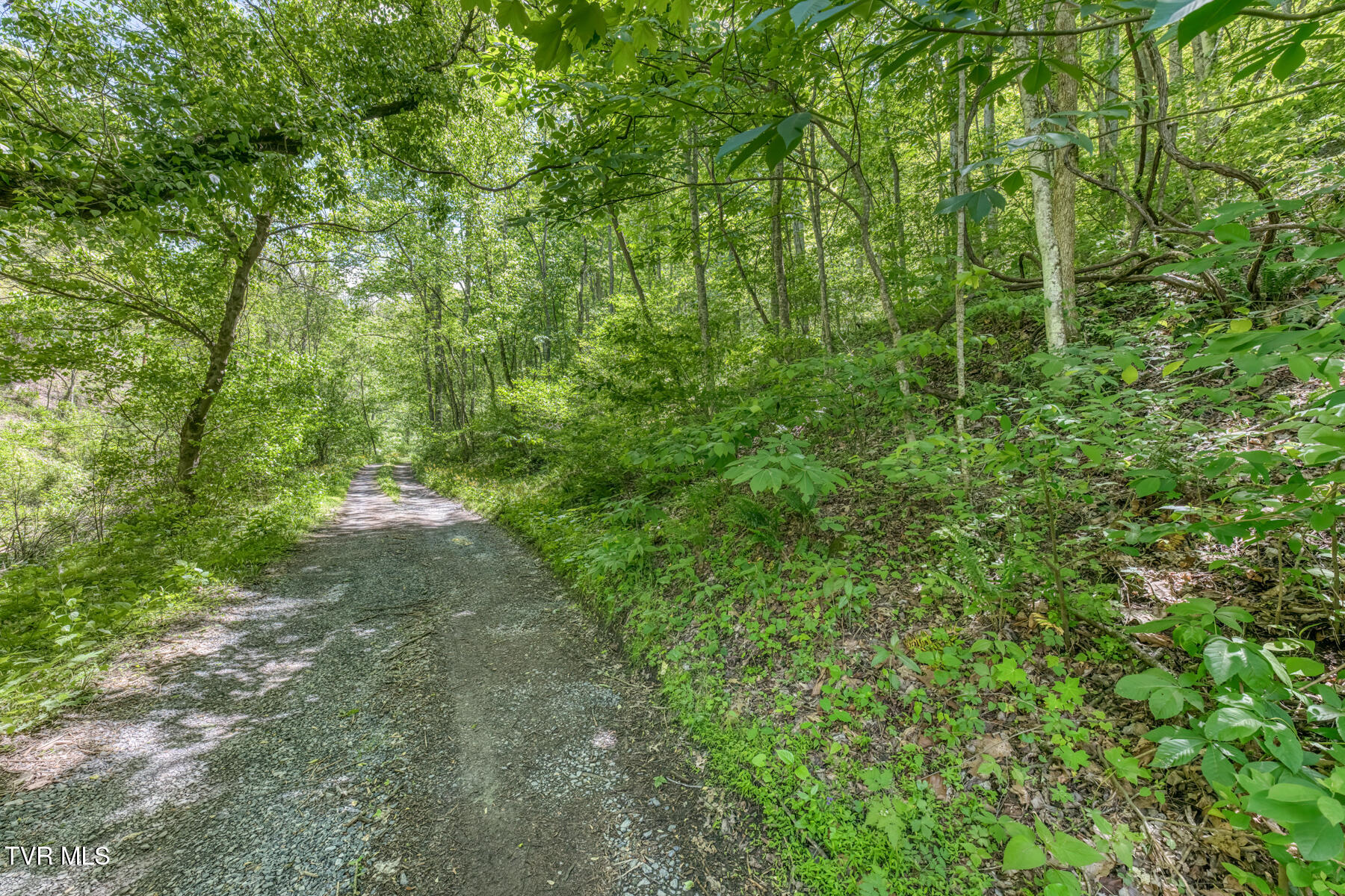 15631 Large Hollow Road Abingdon, VA 24210 - Photo 7 of 16 15631 Large Hollow Rd-10