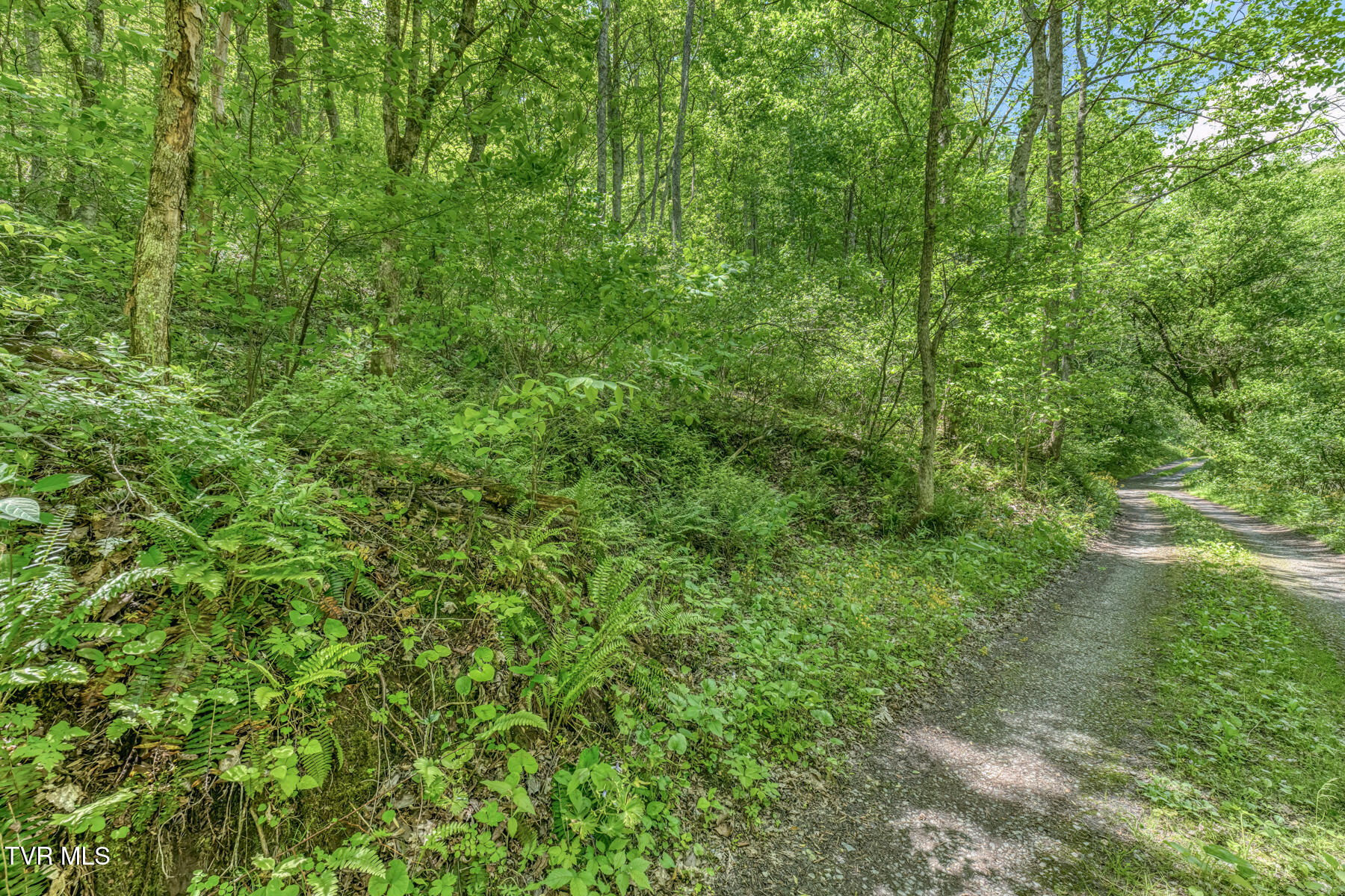 15631 Large Hollow Road Abingdon, VA 24210 - Photo 8 of 16 15631 Large Hollow Rd-11