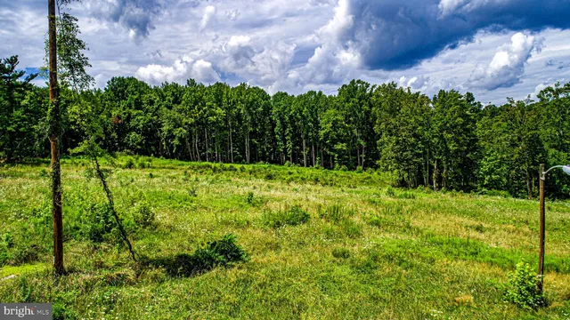 a backyard of a house with lots of green space and garden view