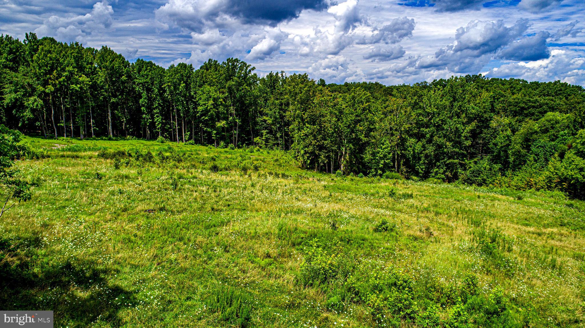 2912 Philadelphia Road Abingdon, MD 21009 - Photo 11 of 13 a view of a garden