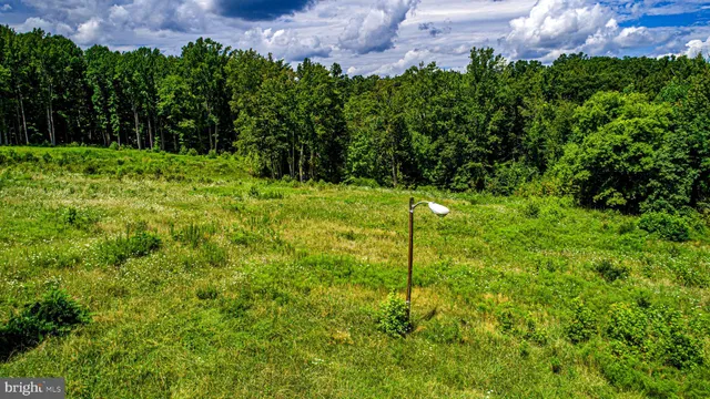 a view of an outdoor space and a yard
