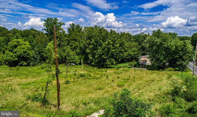a view of a back yard