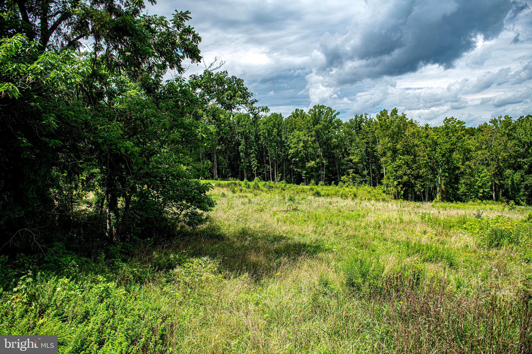 2912 Philadelphia Road Abingdon, MD 21009 - Photo 4 of 13 a view of outdoor space and yard