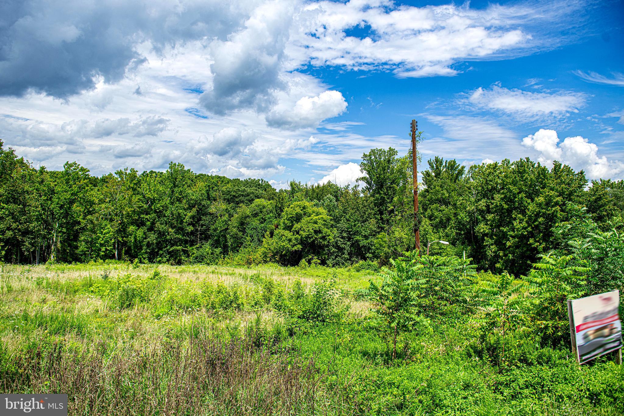 2912 Philadelphia Road Abingdon, MD 21009 - Photo 7 of 13 a view of a garden with plants and large trees