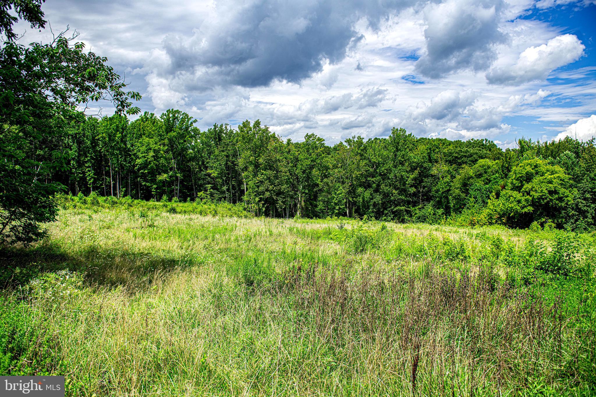 2912 Philadelphia Road Abingdon, MD 21009 - Photo 8 of 13 a view of outdoor space and green space