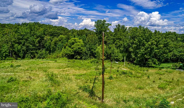a view of yard with green space
