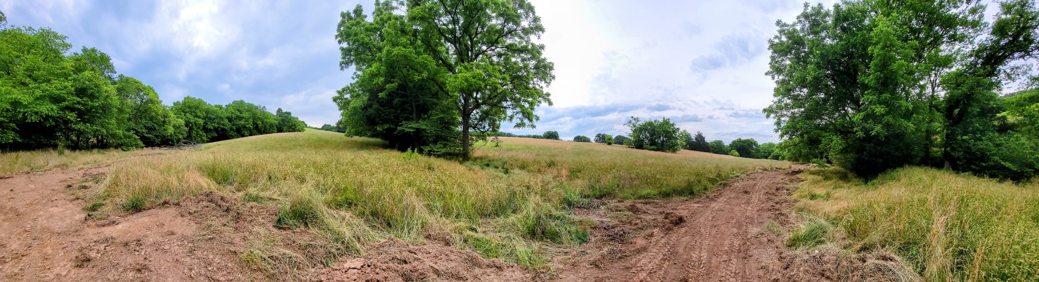 244 Access Road Pulaski, TN 38478 - Photo 25 of 34
