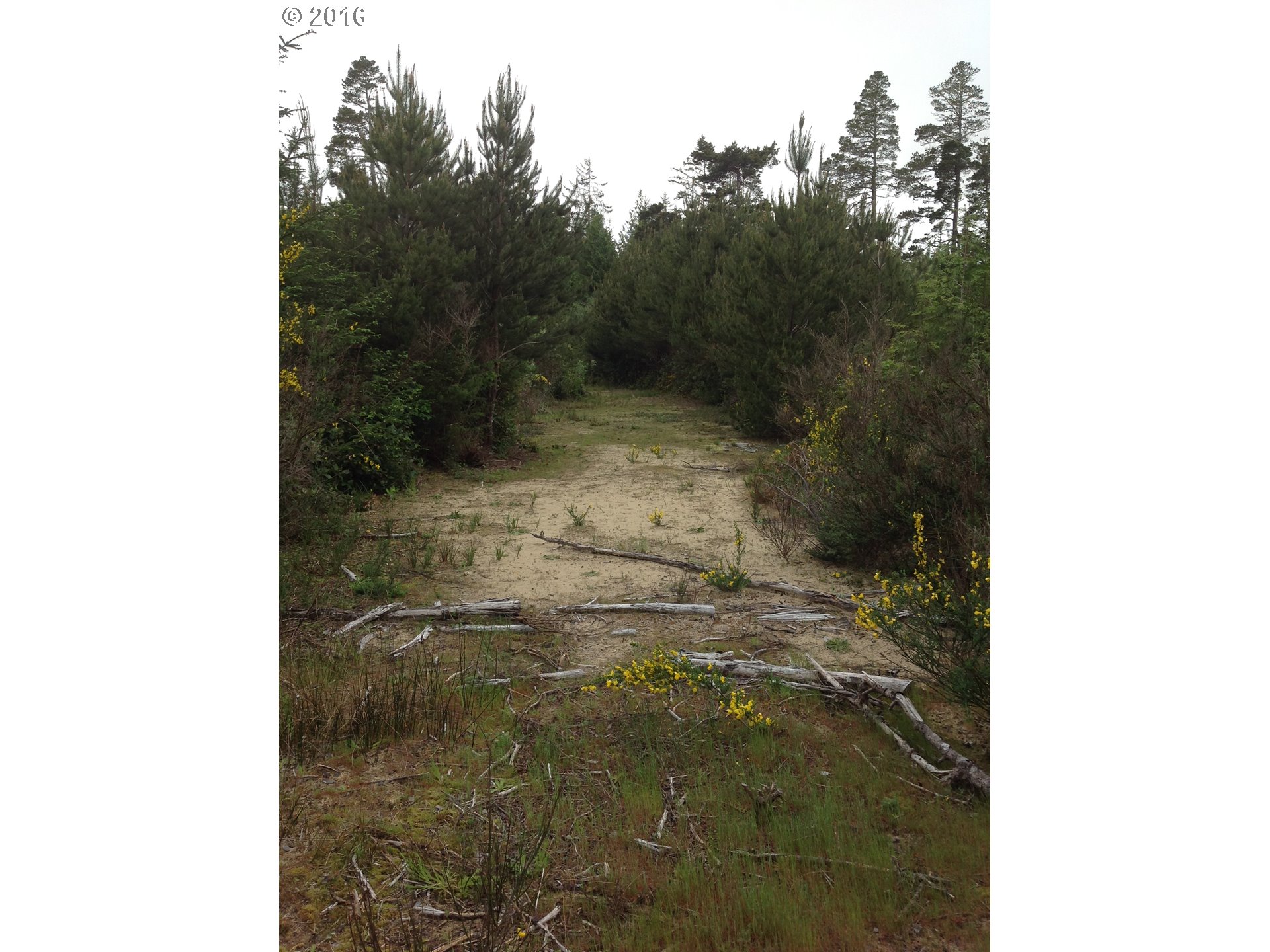Chets Trail, Unit 2100 Florence, OR 97439 - Photo 14 of 19