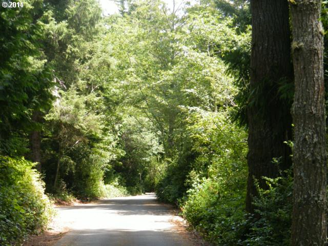 Chets Trail, Unit 2100 Florence, OR 97439 - Photo 3 of 19