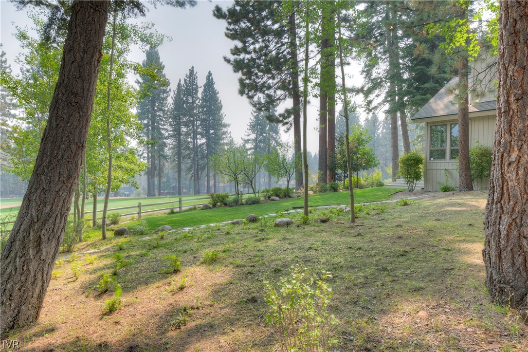 935 Driver Way Incline Village, NV 89451 - Photo 5 of 35 Green-space from side yard.