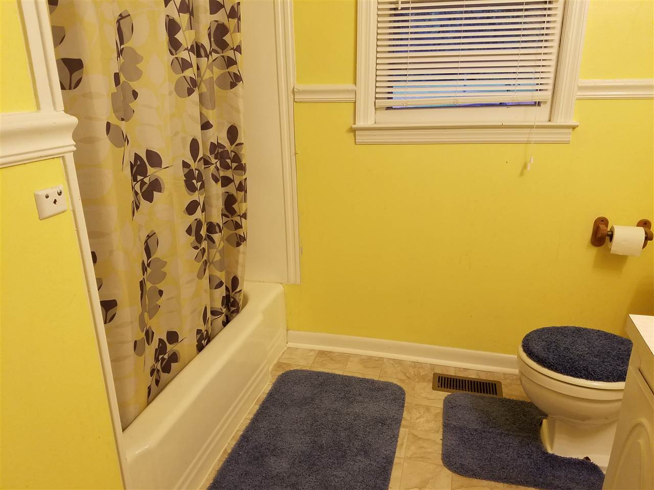 6170 Buffalo Road Selma, NC 27576 - Photo 11 of 18 Bathroom