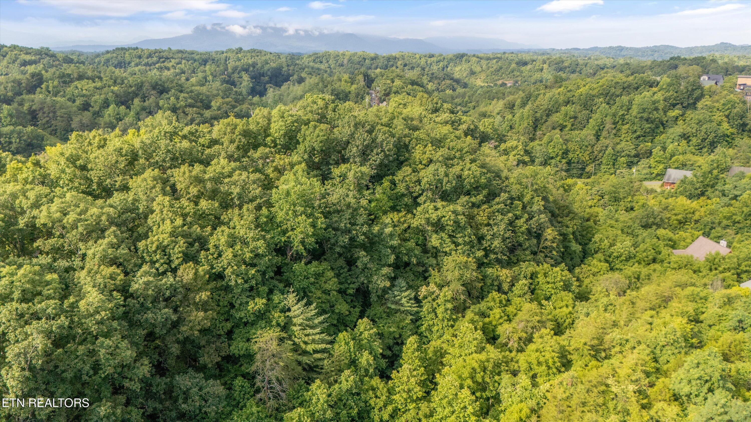Wingspan Drive Sevierville, TN 37876 - Photo 17 of 19 12-2369 Wingspan Dr-11