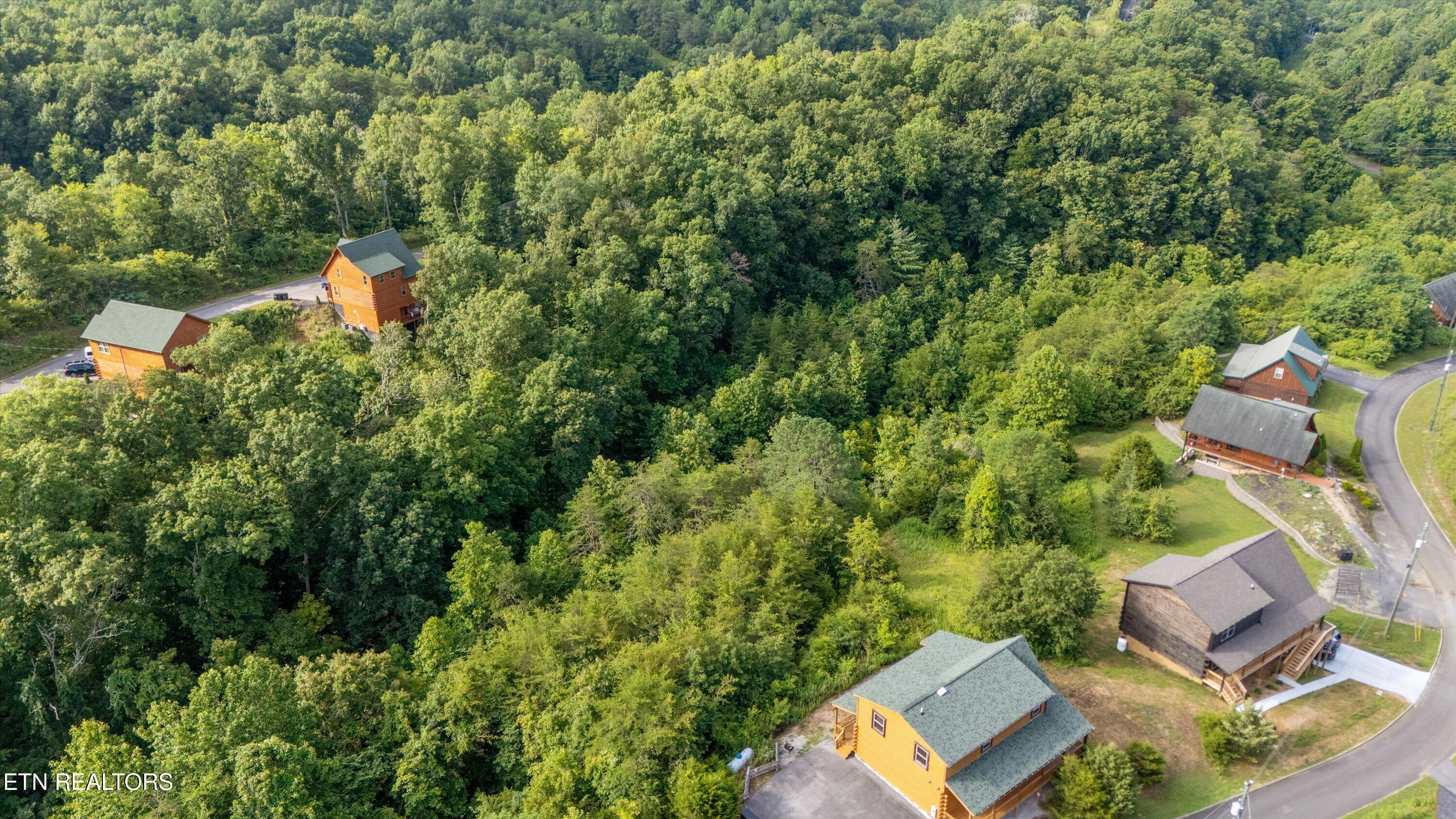 Wingspan Drive Sevierville, TN 37876 - Photo 18 of 19 13-2369 Wingspan Dr-12
