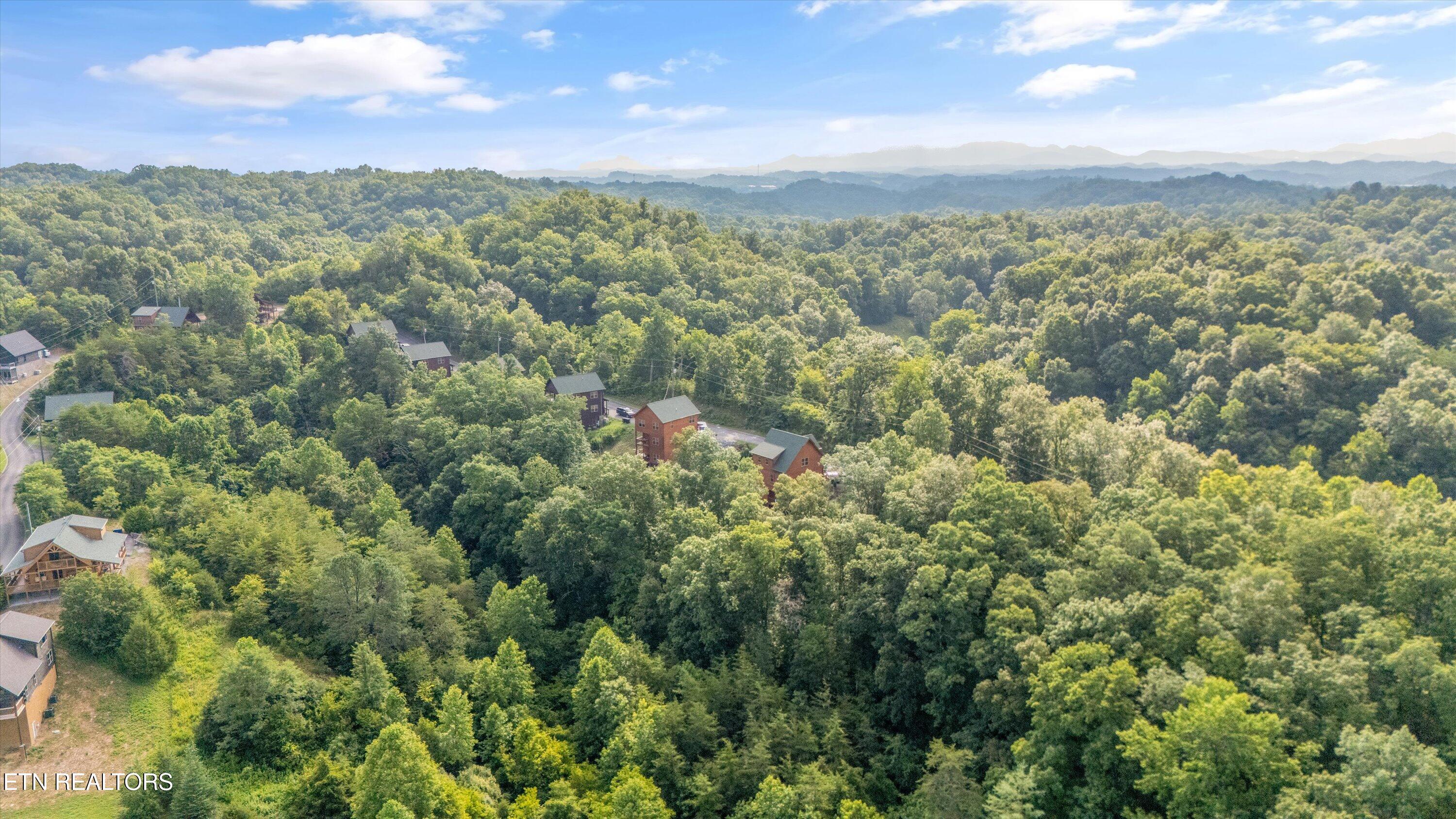 Wingspan Drive Sevierville, TN 37876 - Photo 19 of 19 14-2369 Wingspan Dr-13