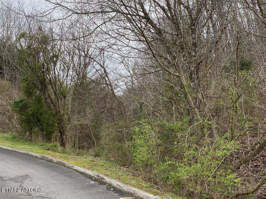 Wingspan Drive Sevierville, TN 37876 - Photo 5 of 19 20240218084326377224000000-o