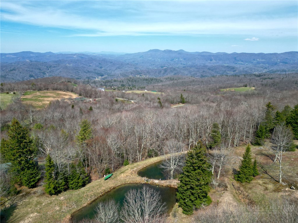 230 Twin Ponds Road Banner Elk, NC 28604 - Photo 3 of 48