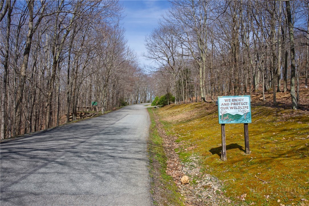 230 Twin Ponds Road Banner Elk, NC 28604 - Photo 41 of 48