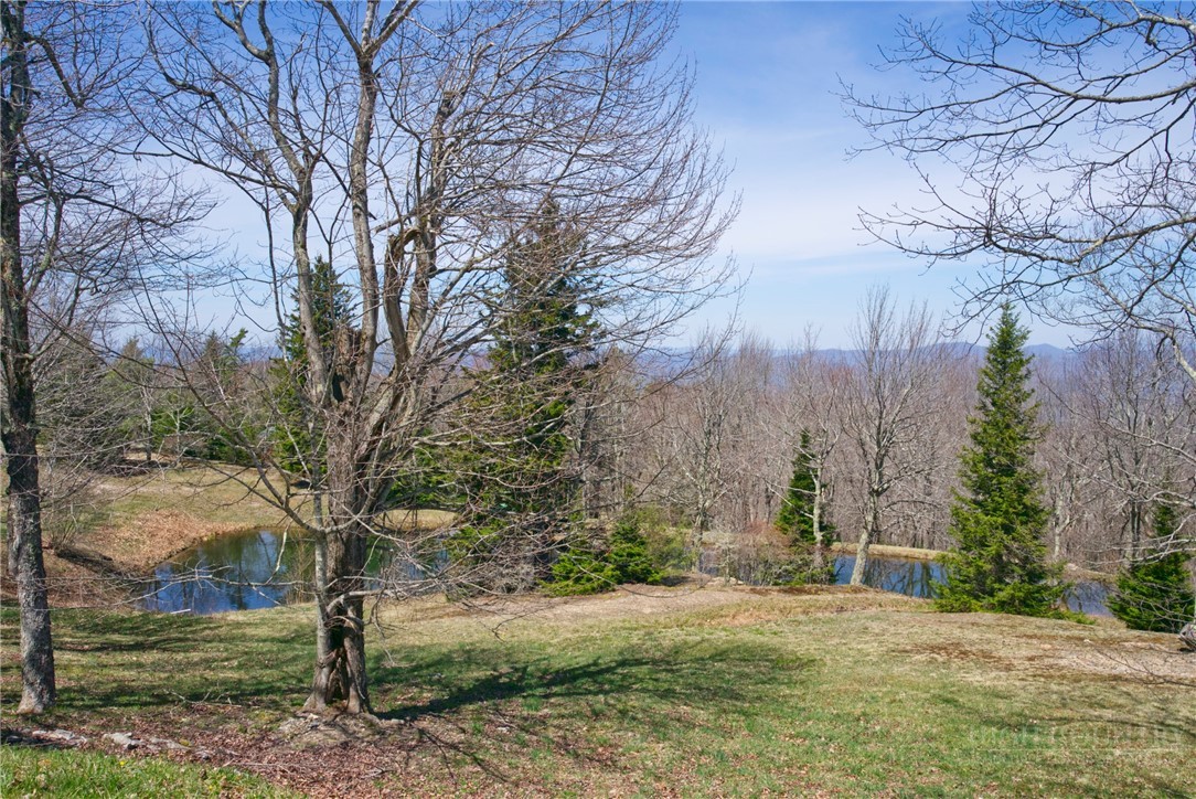 230 Twin Ponds Road Banner Elk, NC 28604 - Photo 42 of 48