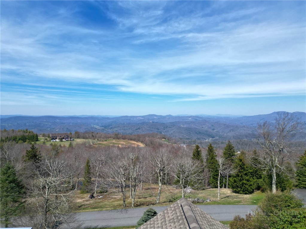 230 Twin Ponds Road Banner Elk, NC 28604 - Photo 44 of 48