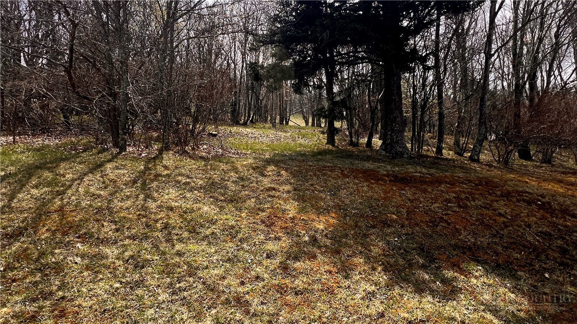 230 Twin Ponds Road Banner Elk, NC 28604 - Photo 46 of 48