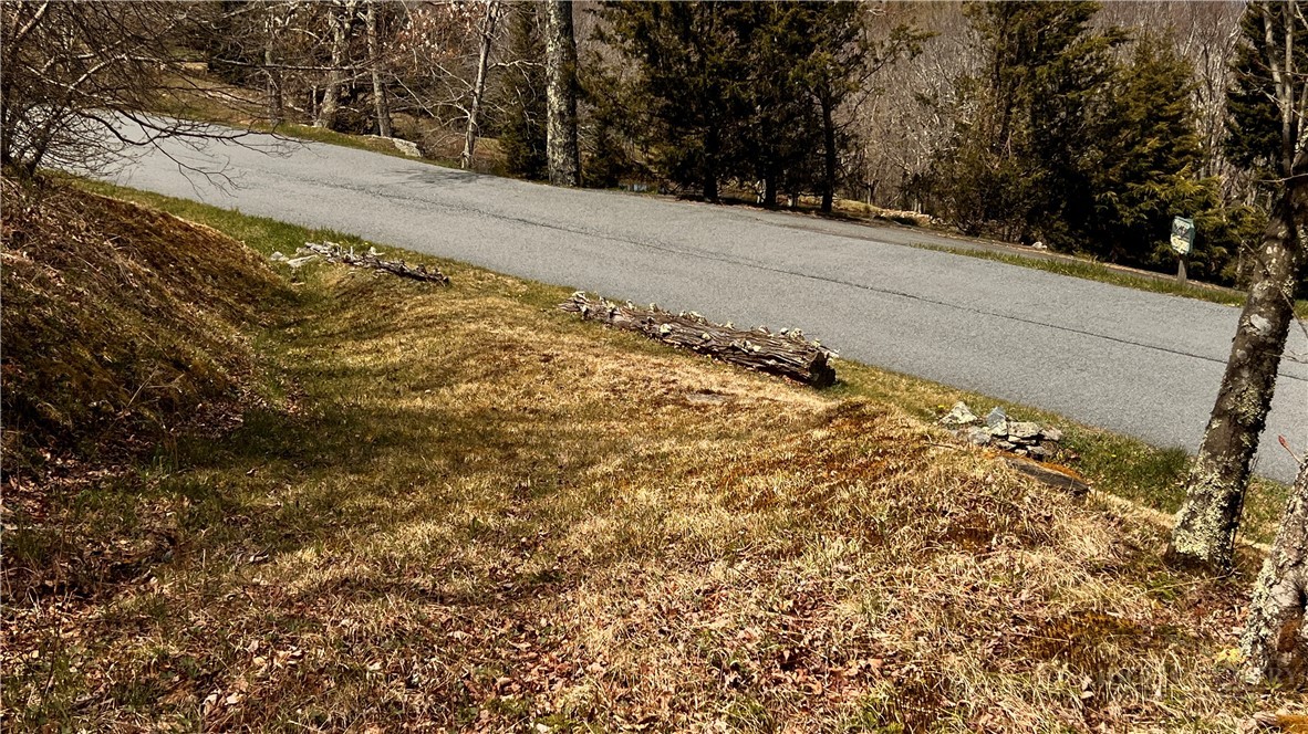 230 Twin Ponds Road Banner Elk, NC 28604 - Photo 47 of 48