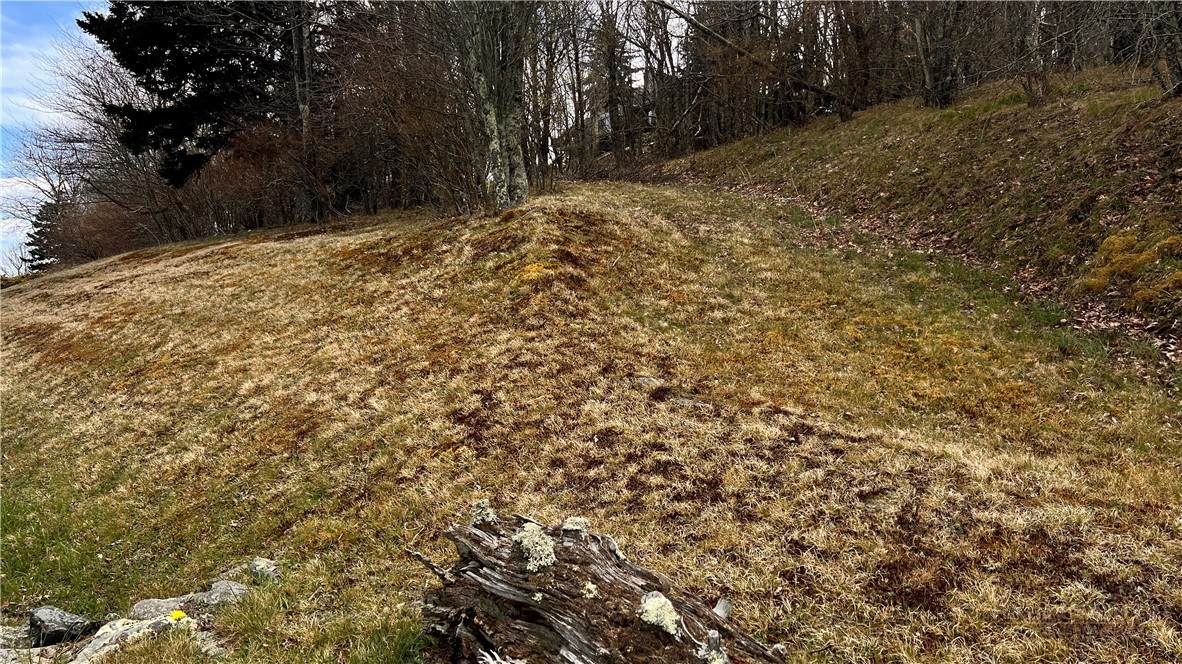 230 Twin Ponds Road Banner Elk, NC 28604 - Photo 48 of 48