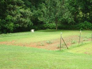 3389 Popcorn Road Springville, IN 47462 - Photo 5 of 15