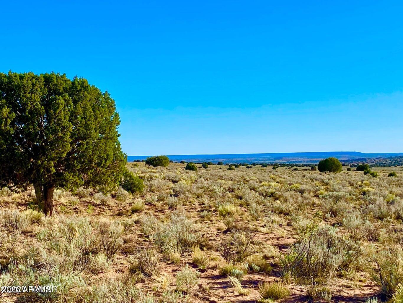 River River Meadows Ranch Concho, AZ 85924 - Photo 4 of 16 20260713061217679840000000-o (1)