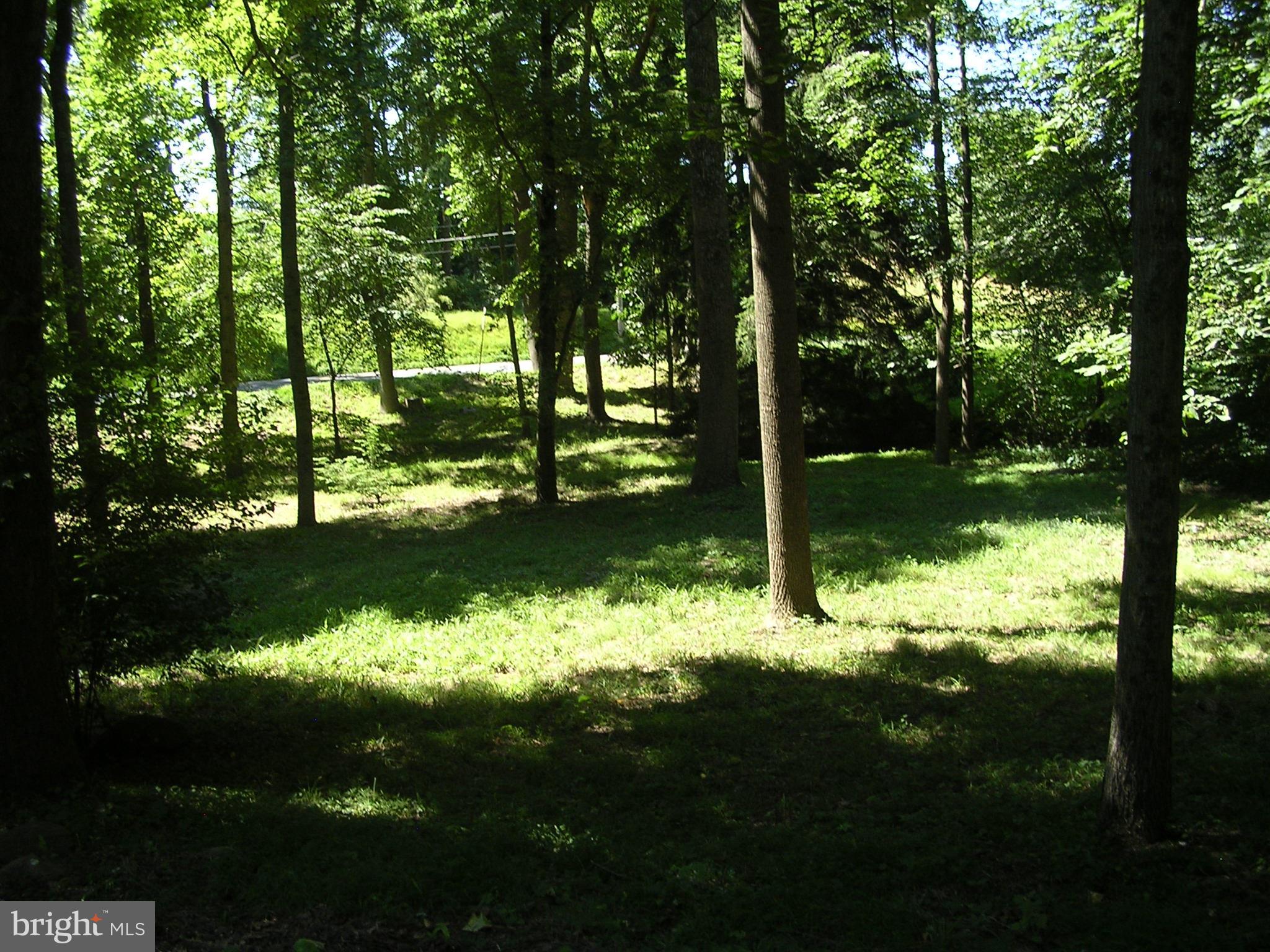 484 Cider Press Road Manheim, PA 17545 - Photo 8 of 9