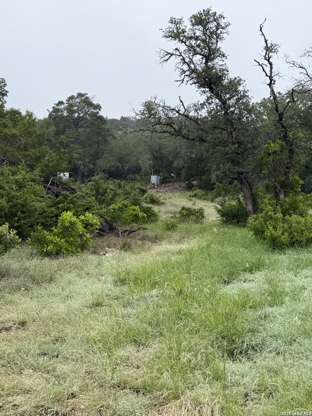 46071 SD 46071 Rocksprings, TX 78880 - Photo 44 of 70 Gallery Image 44