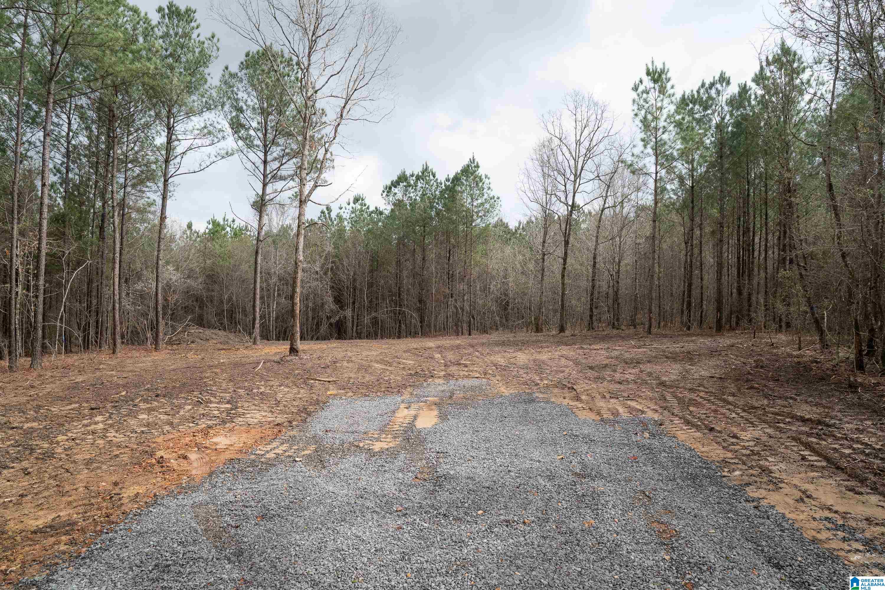 7 Fisher Phillips, Unit 7 Ashville, AL 35953 - Photo 7 of 28