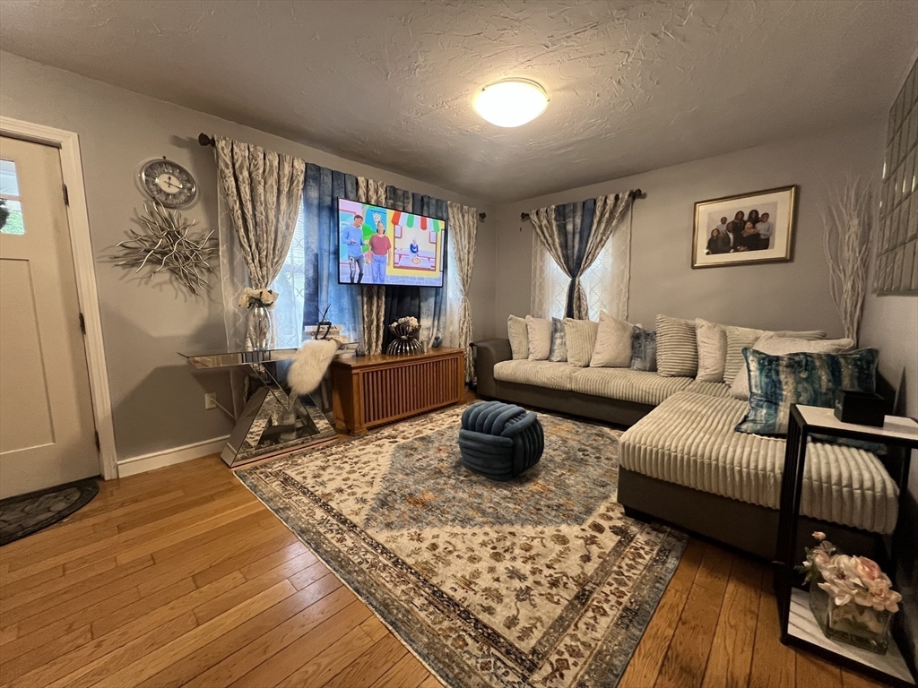 40 Chestnut Street Milford, MA 01757 - Photo 5 of 19 a living room with furniture a rug and a flat screen tv