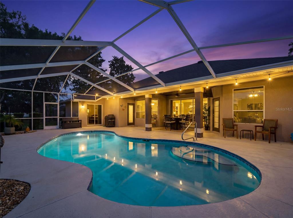 10327 Velvetseed Circle Spring Hill, FL 34608 - Photo 60 of 60
