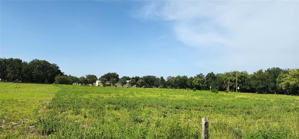 Us-17 & 1st Street East Pierson, FL 32180 - Photo 3 of 7 a view of a grassy field with trees in the background