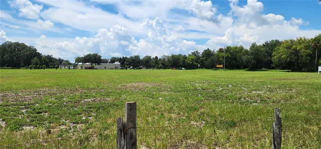 a view of grassy field with trees