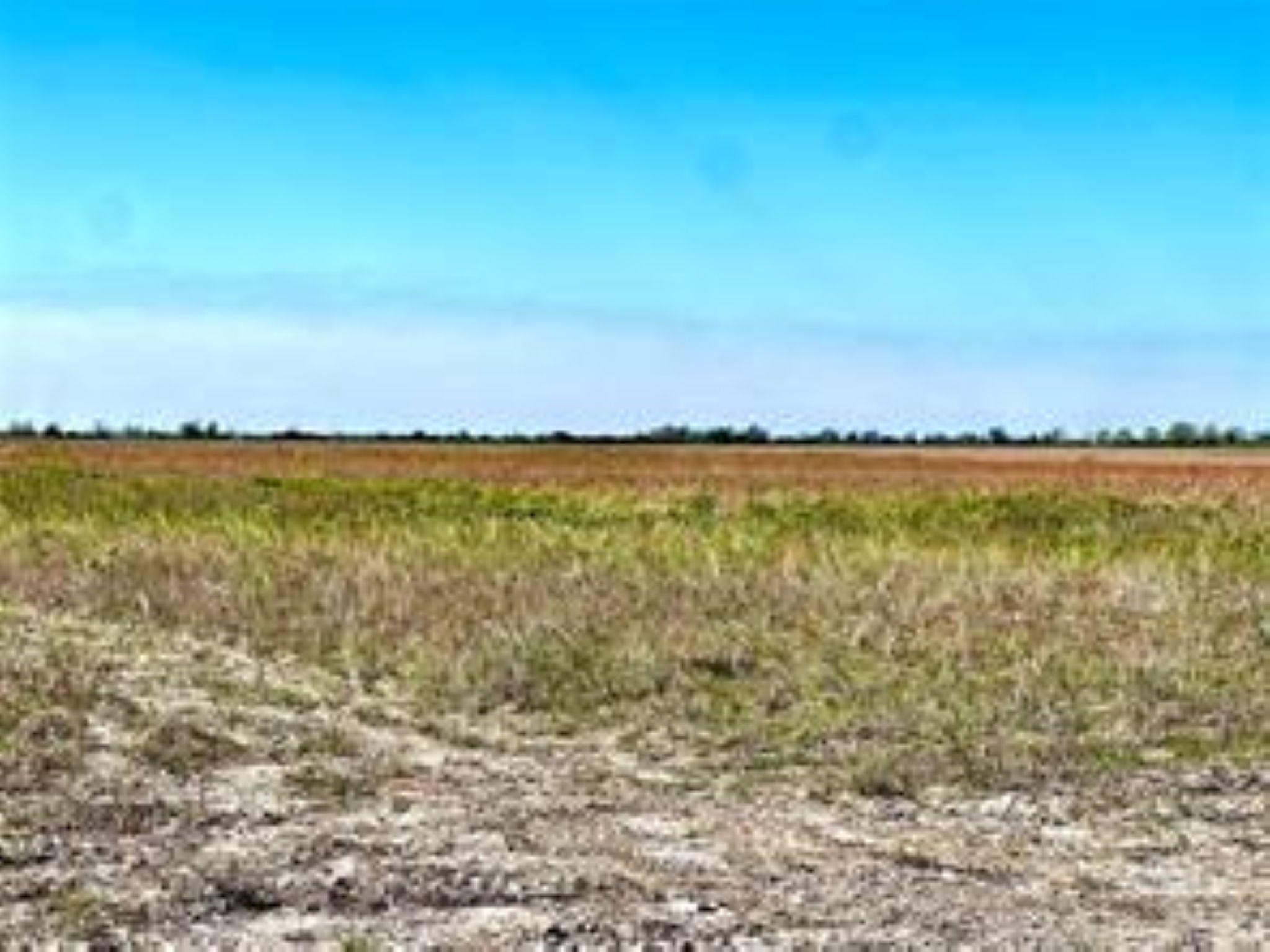 1297 McDonald Road Eagle Lake, TX 77434 - Photo 8 of 10 a view of an ocean