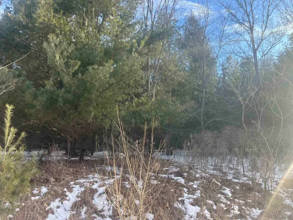 $345,000 | N4750 Whitetail Lane, Elroy, WI 53929
