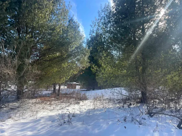 $345,000 | N4750 Whitetail Lane, Elroy, WI 53929