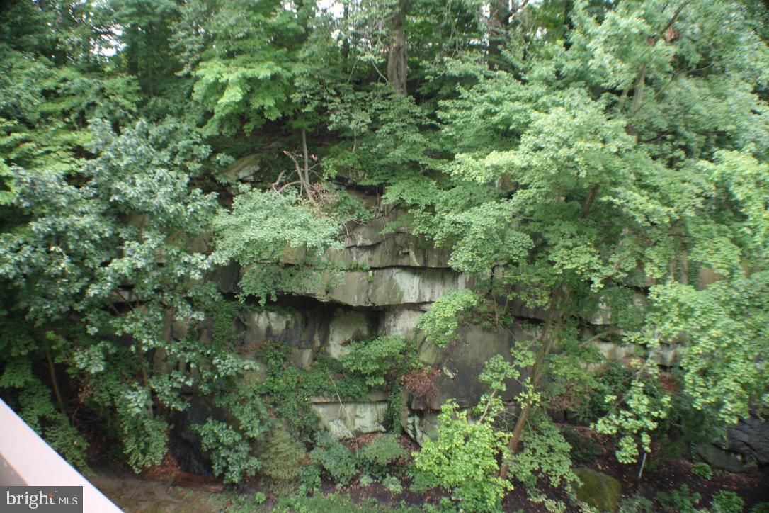 800 Avondale Road, Unit 6C Wallingford, PA 19086 - Photo 19 of 25 a view of a forest with a house