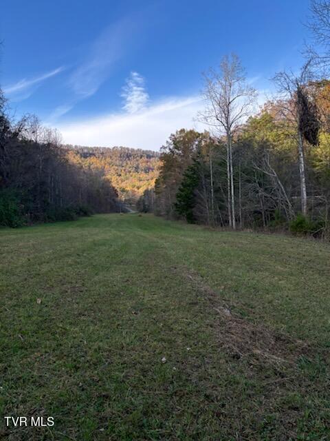 2480 Gap Mountain Road Greeneville, TN 37745 - Photo 54 of 67 unnamed (1)