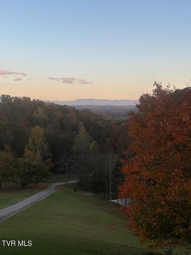 2480 Gap Mountain Road Greeneville, TN 37745 - Photo 55 of 67 unnamed