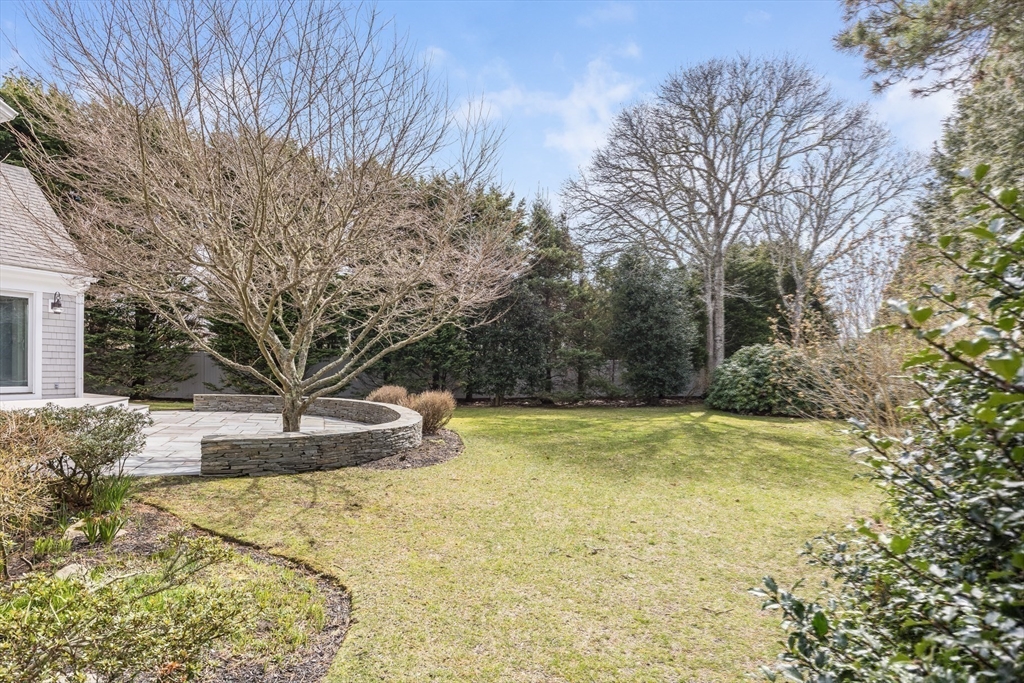 525 Shore Road Chatham, MA 02633 - Photo 27 of 33 a view of a backyard with large trees