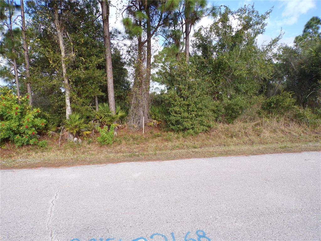 12069 Borax Avenue Punta Gorda, FL 33955 - Photo 3 of 10 a view of a yard with plants and trees